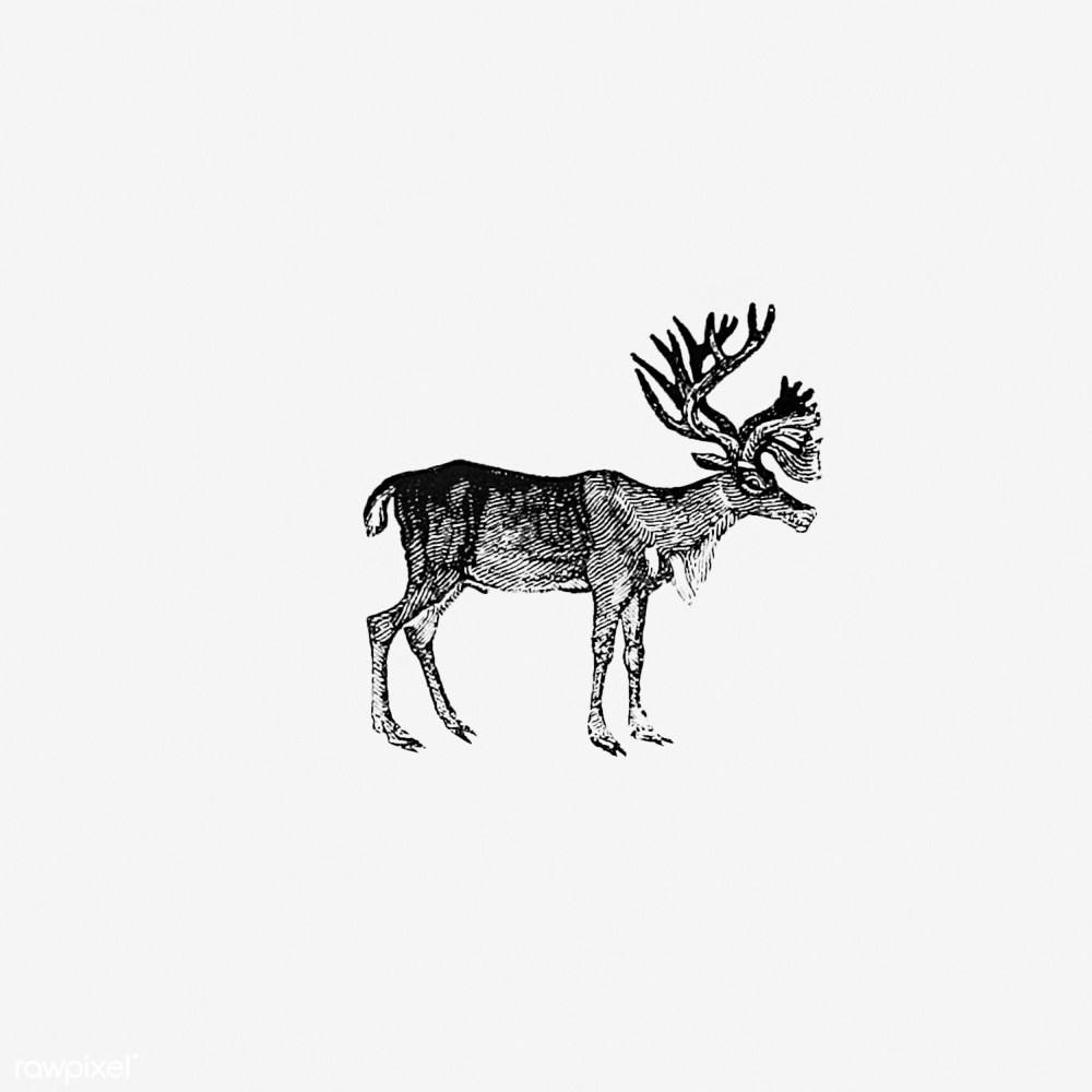 Rudolf